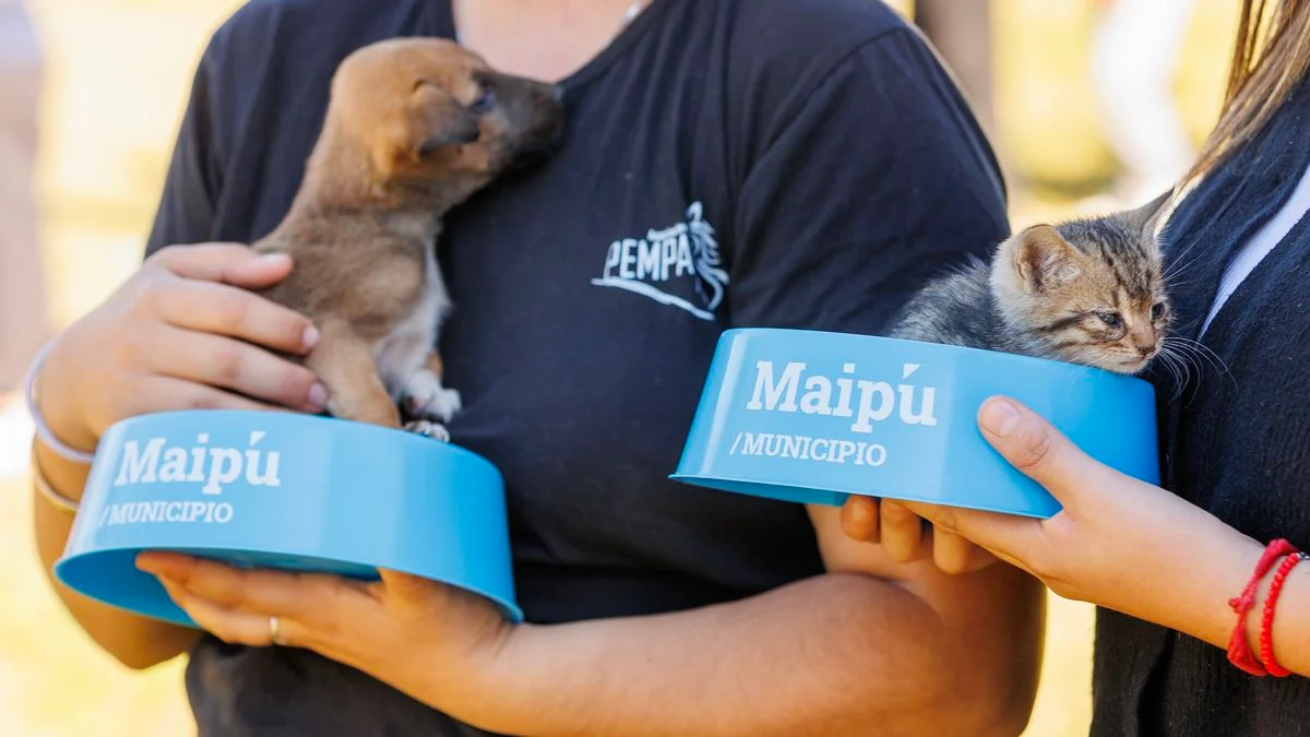 Maipú destaca su política de bienestar animal y amplía la red de servicios