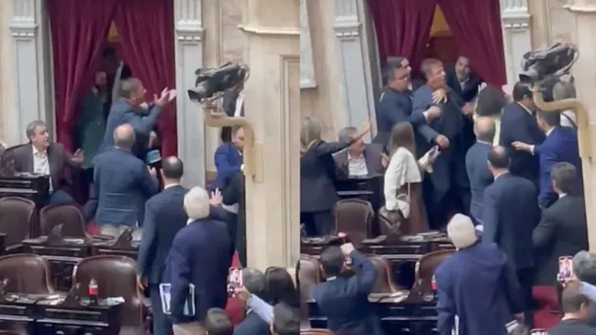 Dos diputados nacionales a las piñas en el Congreso