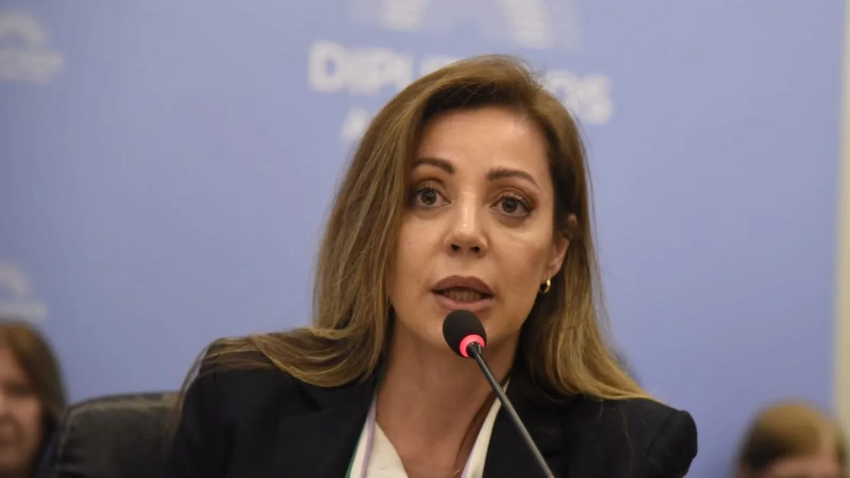 Glaciares: denuncian a una senadora por impulsar la reforma mientras asesoraba a empresas mineras