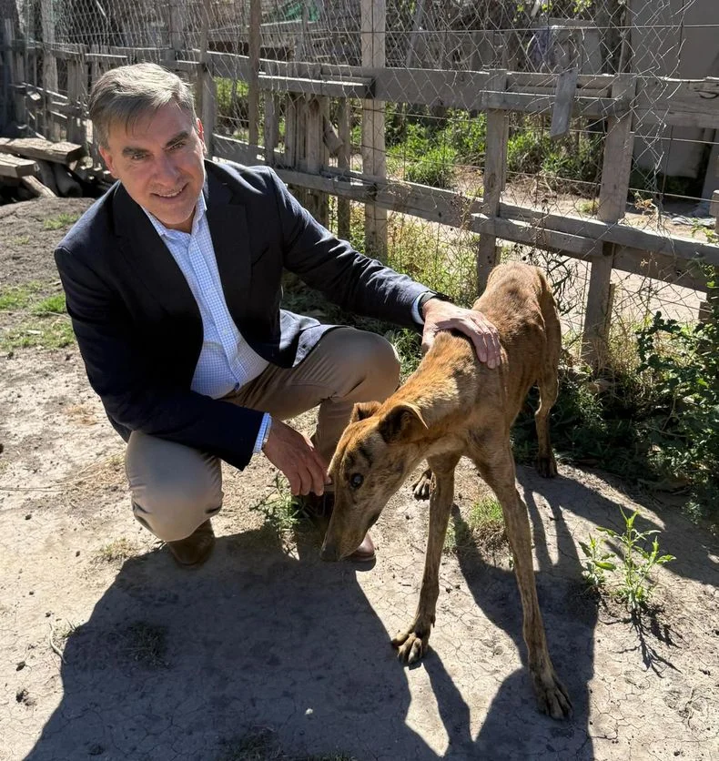 Mario Vadillo, candidato a diputado nacional por el Frente Verde.&nbsp;