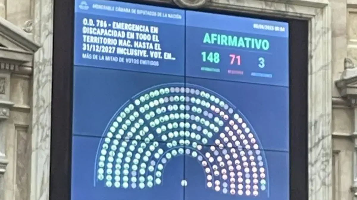 Emergencia en Discapacidad: los libertarios de Mendoza votaron en contra, en soledad