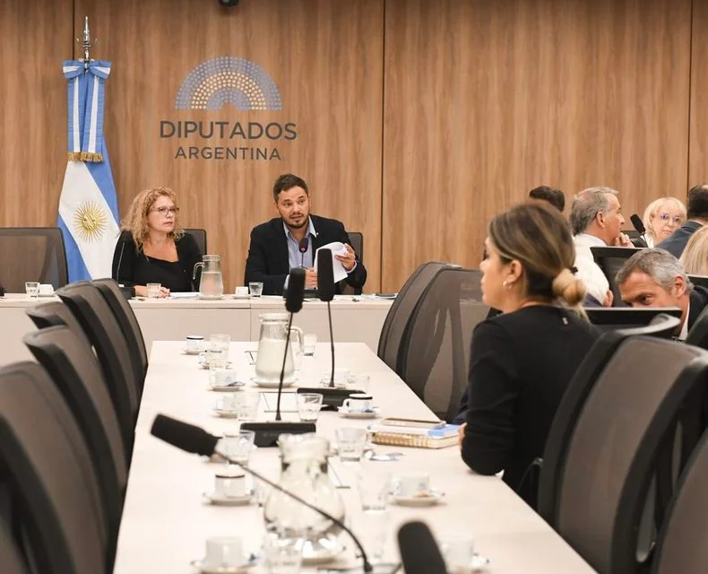 El mendocino Álvaro Martínez quedó al frente de la comisión de Justicia en Diputados. 