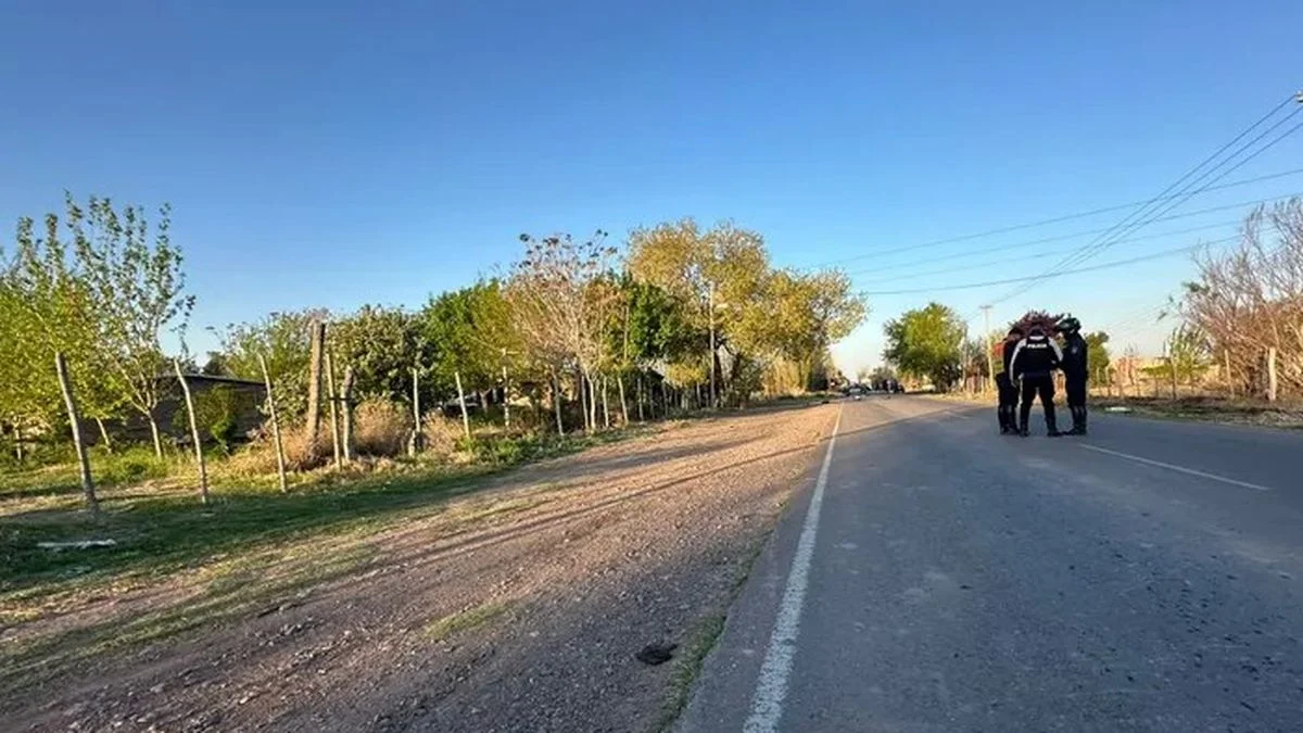 Liberaron al chofer que atropelló a las dos niñas que murieron en El Algarrobal