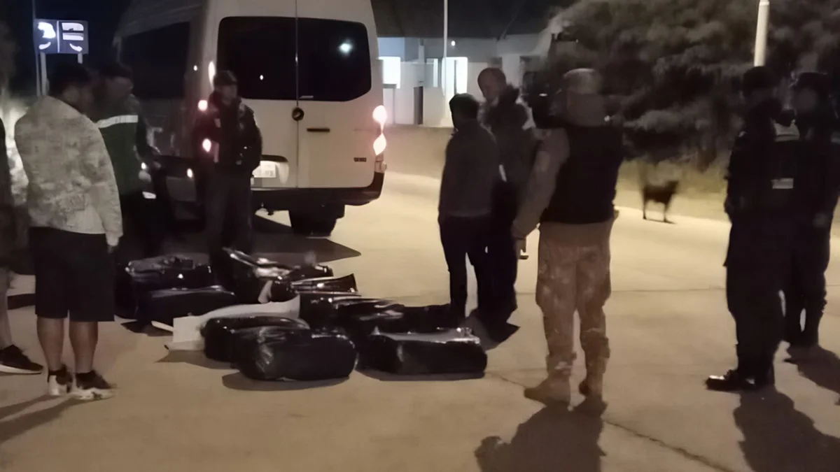 Pescado podrido en plena previa de Pascua: decomisaron 260 kilos y detuvieron a un hombre en Tupungato