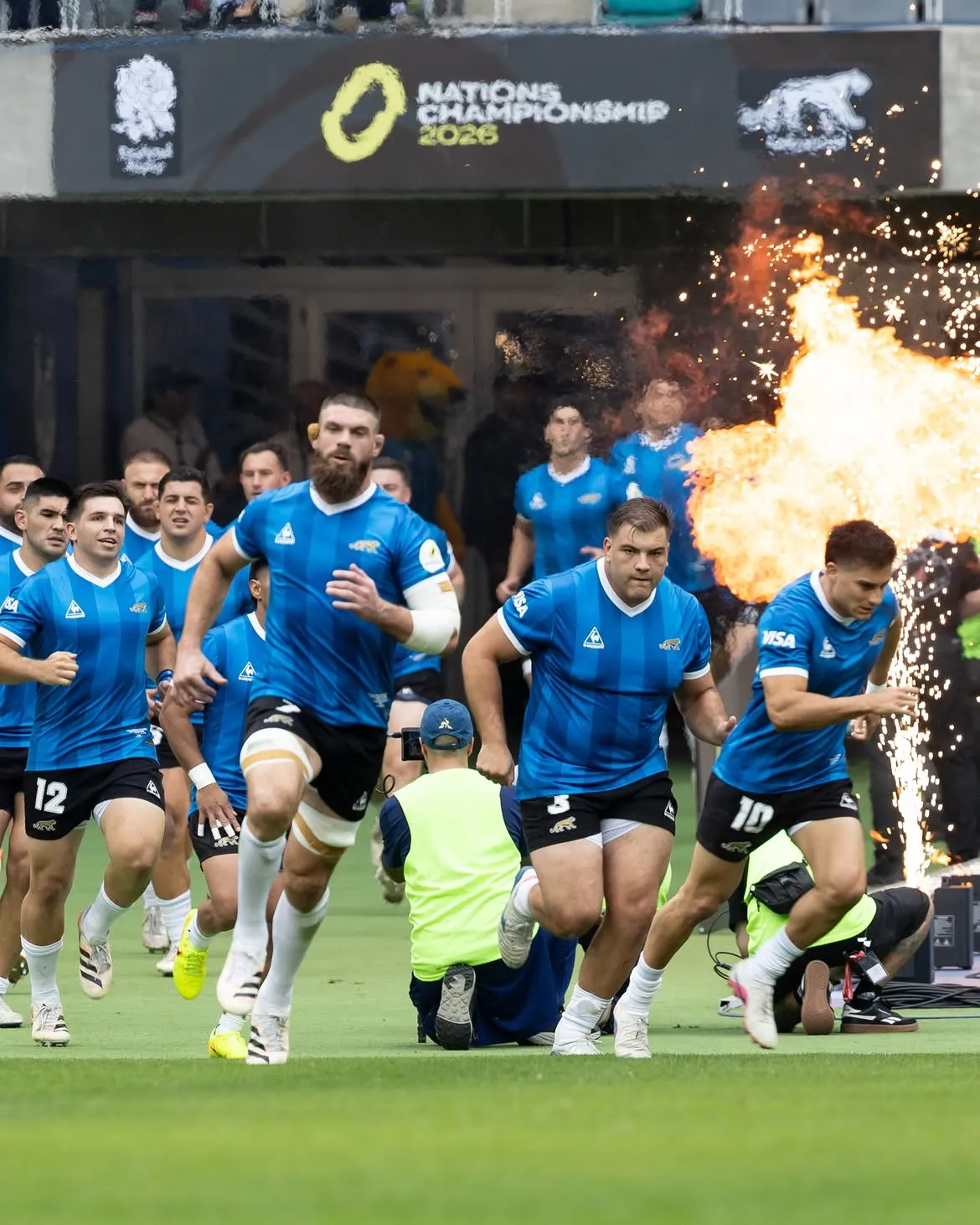 pumas