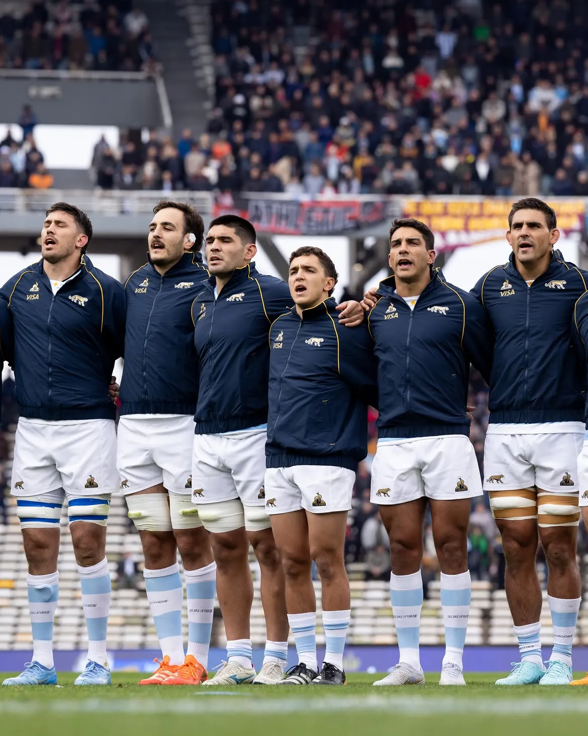 Los Pumas juegan ante Inglaterra.