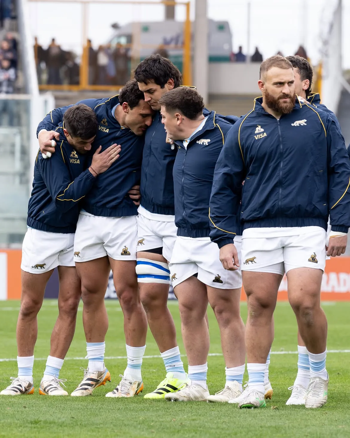 los pumas
