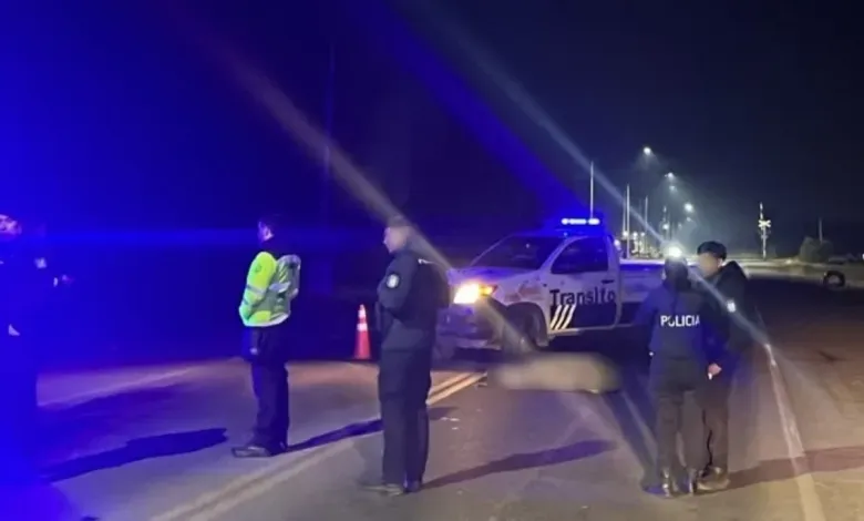 Conmoción en Maipú: conductor alcoholizado atropelló y mató