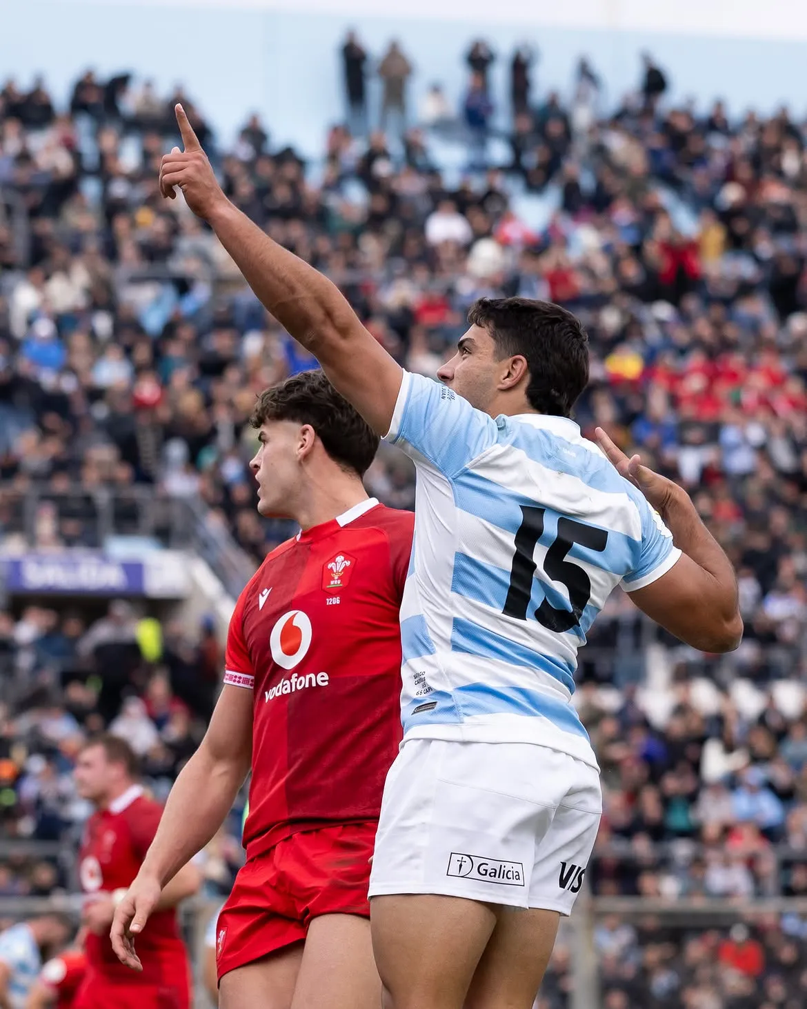 los pumas gales