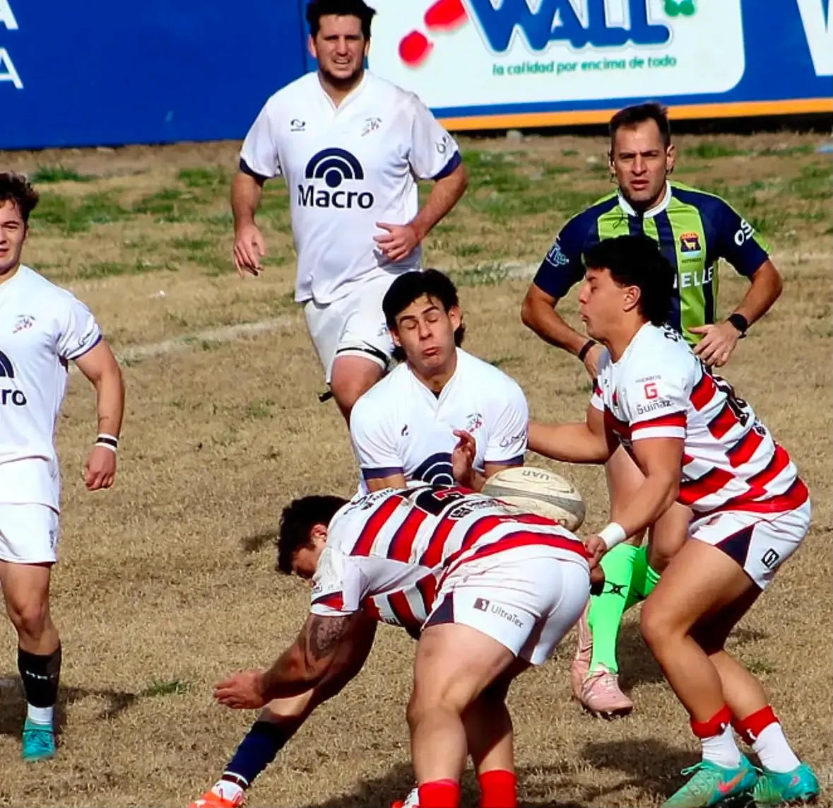 rugby