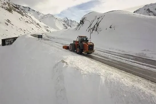 nieve 1