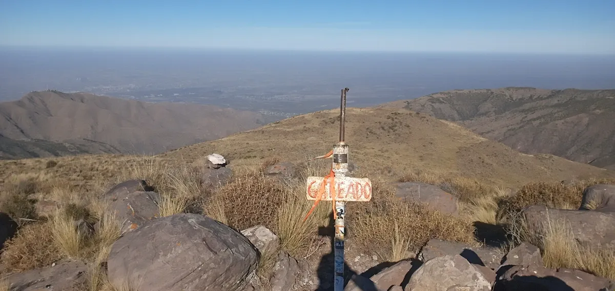 gateado