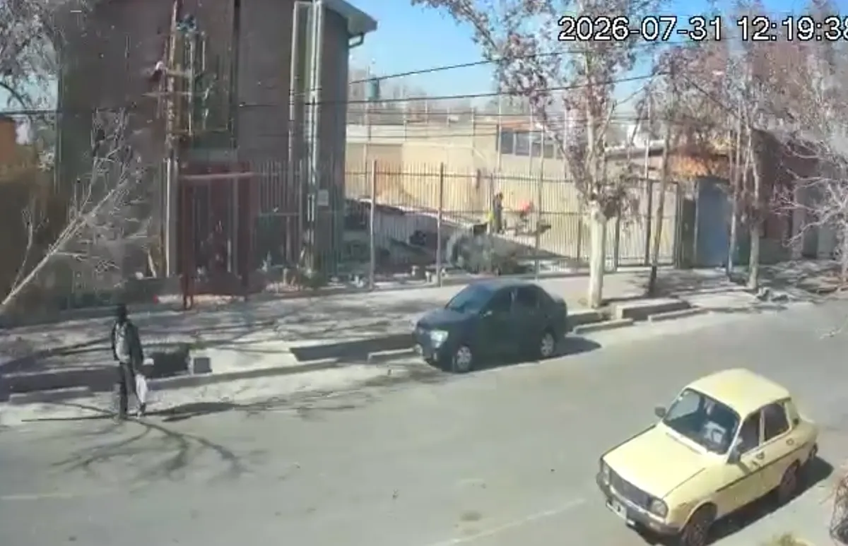 Viento Zonda dejó 112 incidentes en Mendoza en menos de 24 horas