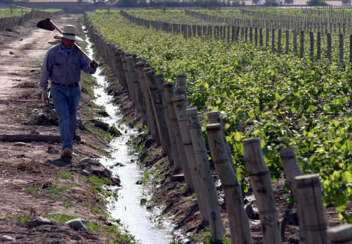 La crisis del vino suma denuncias y golpea a los productores