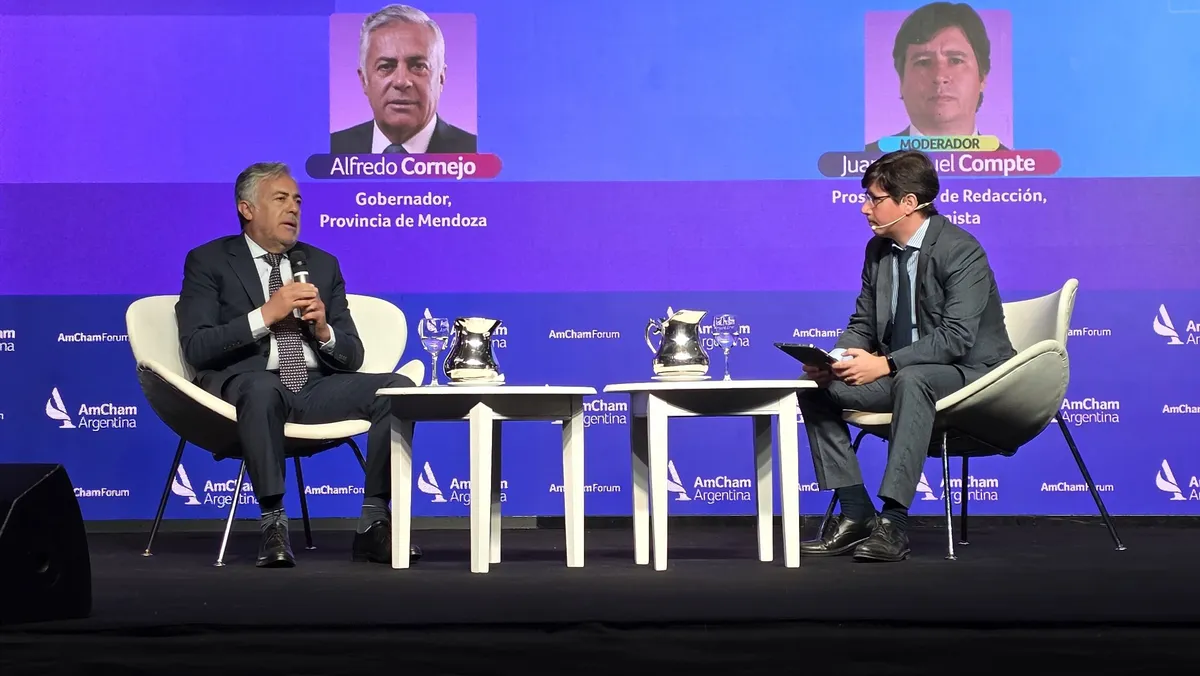 Cornejo energia declaraciones
