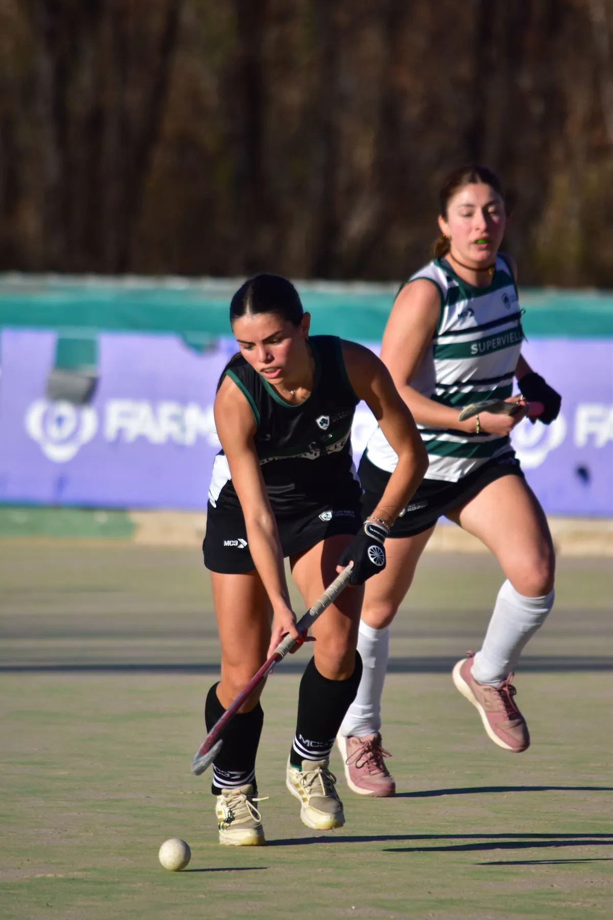 hockey