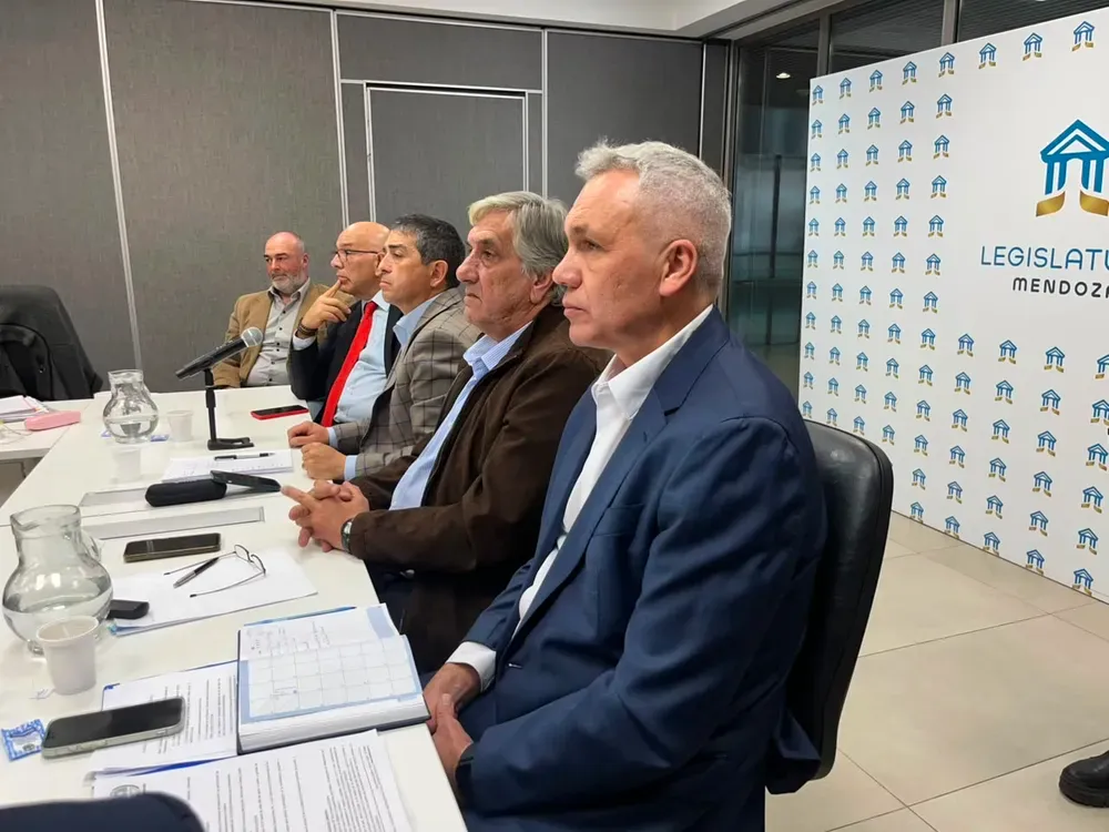 Cambia la Ley del Deporte en Mendoza: qué modificaciones aprobó el Senado
