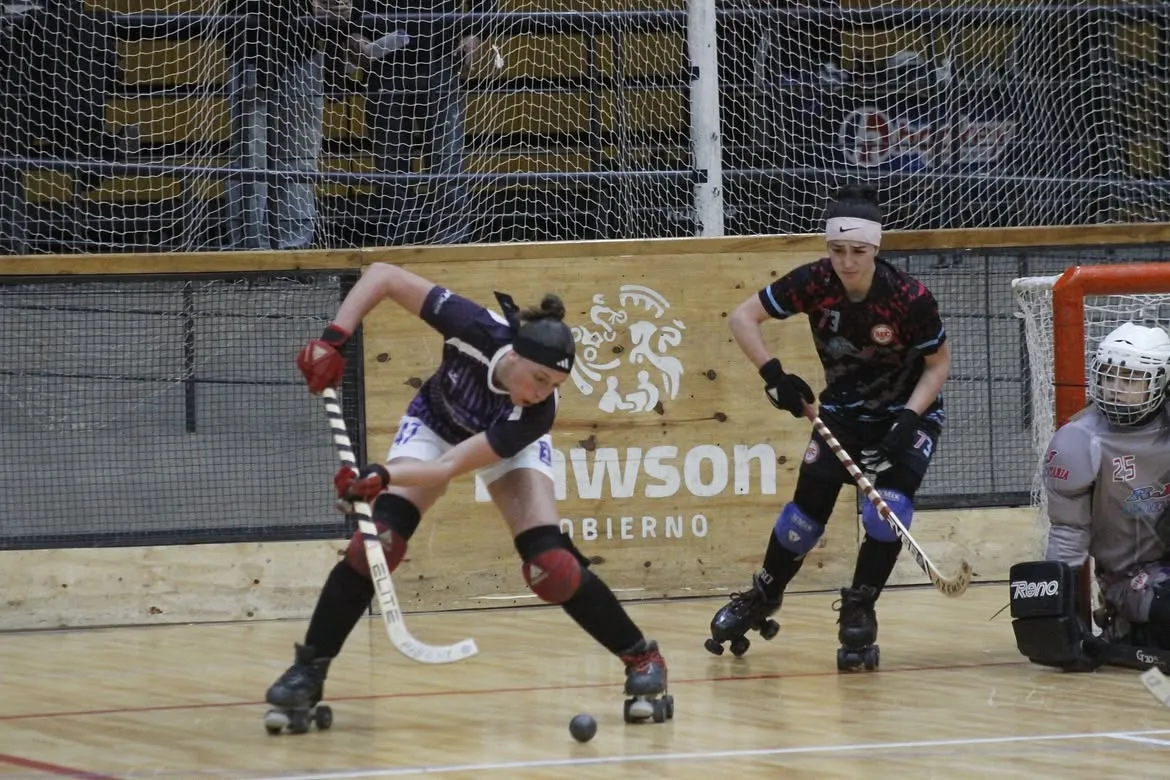 impsa hockey patin