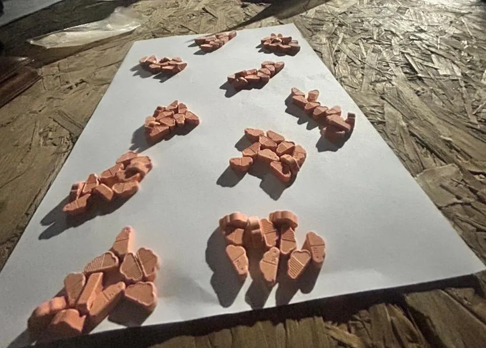 Secuestran 810 pastillas de éxtasis en operativos en Mendoza