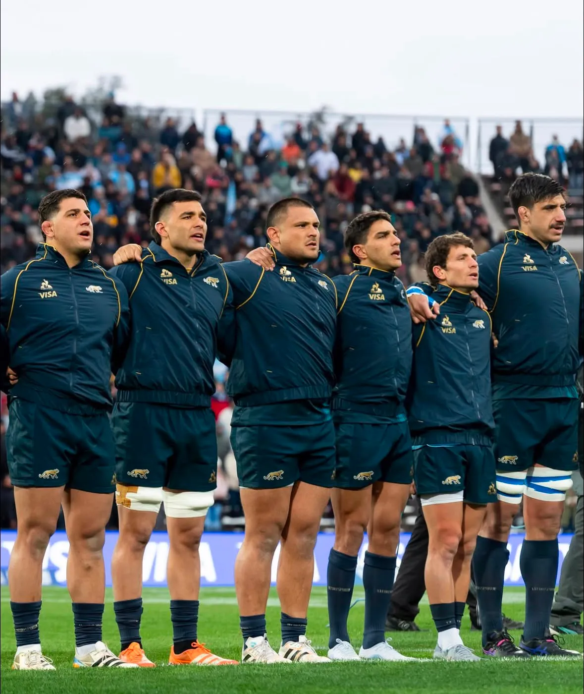 los pumas