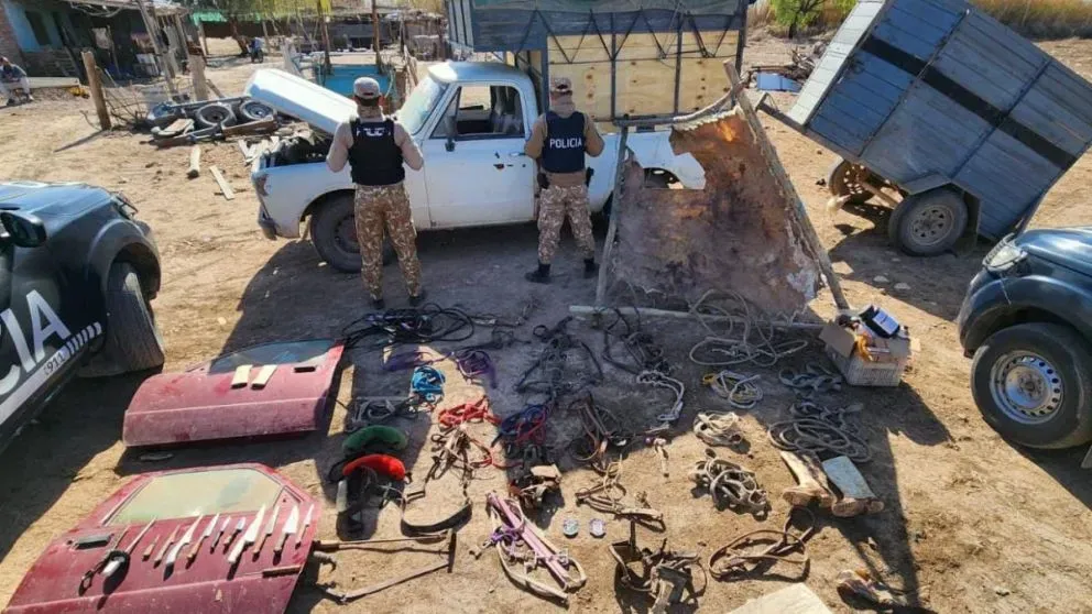 Guaymallén vuelve a quedar bajo la lupa por la faena clandestina