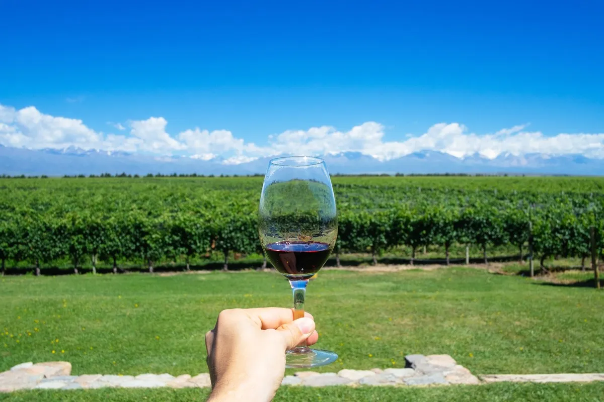 vino-mendoza.jog