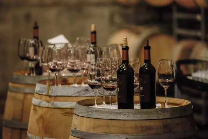 produccion-mendoza-vinos