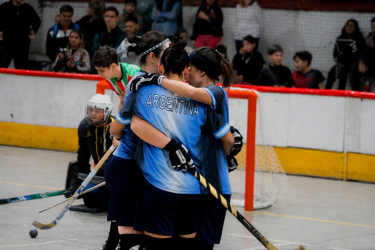 hockey patin (2)